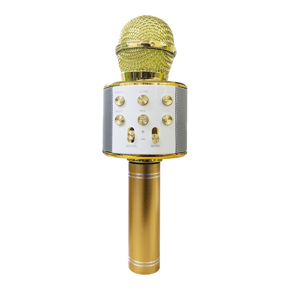 Micro sans fil hifi Speaker 812855 enregistre et écoute vos chansons