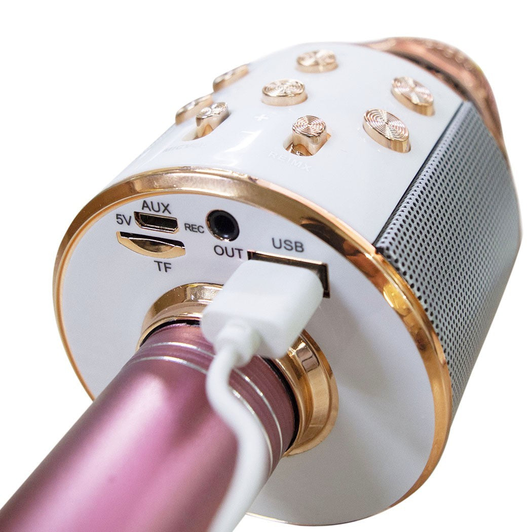 Micro sans fil hifi Speaker 812855 enregistre et écoute vos chansons