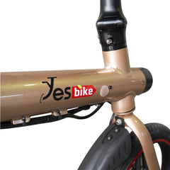SMART vélo électrique adulte roue 14" vélo 3 vitesse 250W 5,8ah et affichage