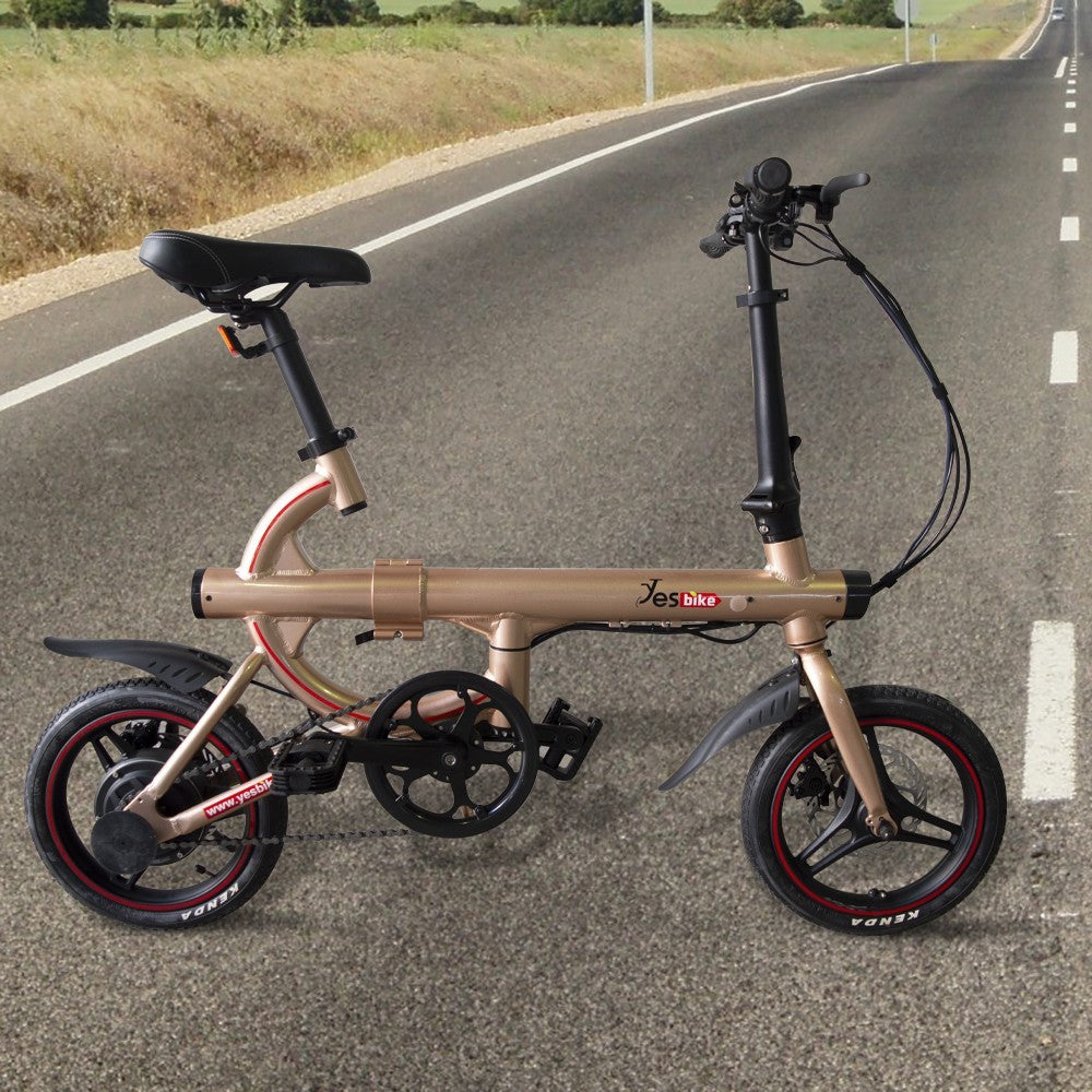 SMART vélo électrique adulte roue 14" vélo 3 vitesse 250W 5,8ah et affichage