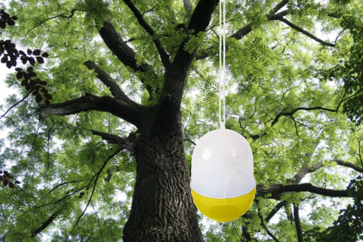 Pack 2 Mini Pièges à insectes 952567 d’arbre guêpes pour les lieux extérieurs