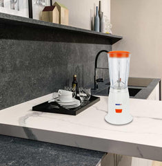 DICTROLUX mélangeur 892120 broyeur 200 watts 0,4 lt système de sécurité
