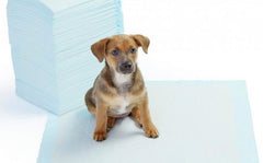 Pack 40 traverses 000166 chiens 90 x 60 cm NOBLEZA tapis absorbant PUPPY PADS