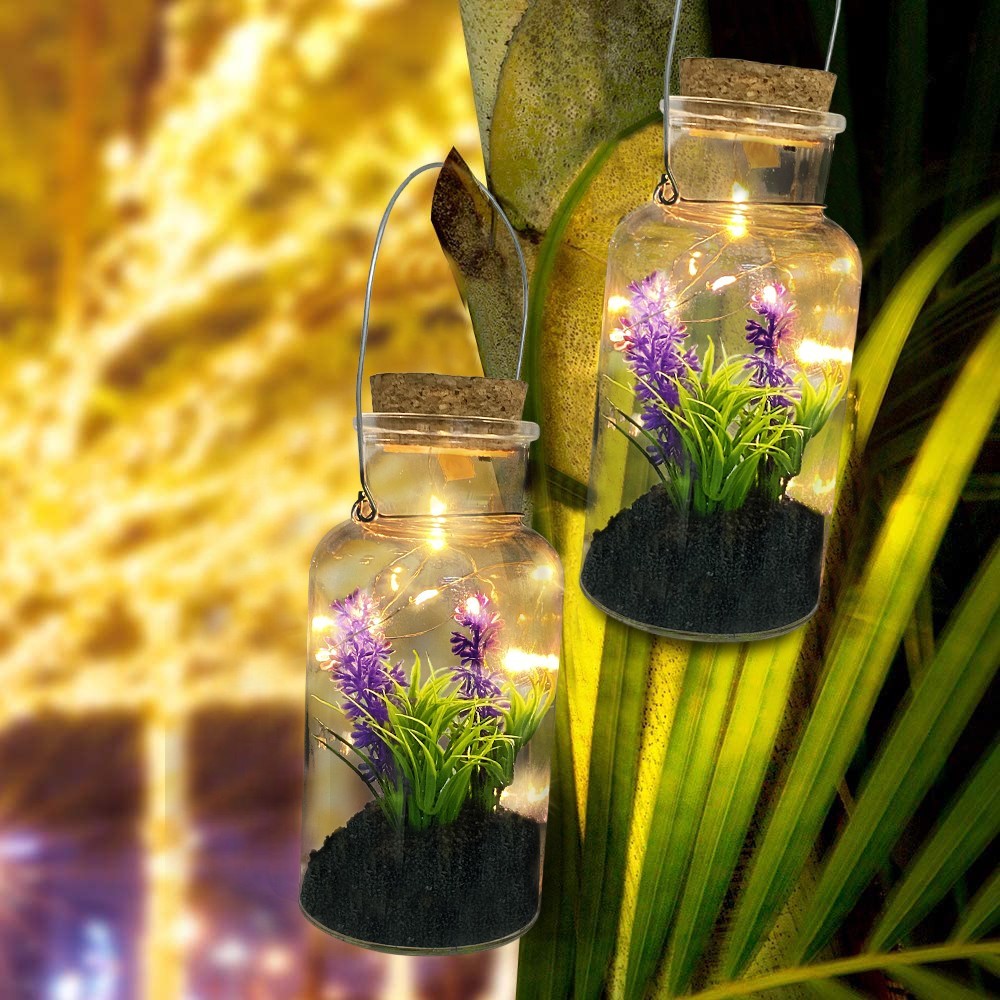 Boîte en verre avec plante décorative 452415 et Mini-lumière Led avec poignée
