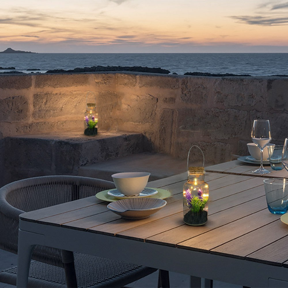 Boîte en verre avec plante décorative 452415 et Mini-lumière Led avec poignée