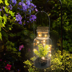 Boîte en verre avec plante décorative 452415 et Mini-lumière Led avec poignée