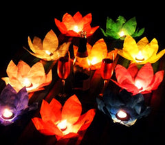 Lanterne fleur de lotus flottante 30 x 30 cm 05237 couleurs assorties