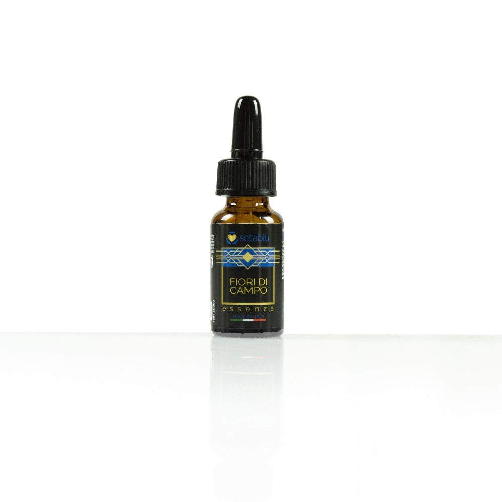 Lot de 6 essences d'ambiance assorties 593605 pour aromatiseur 10 ml