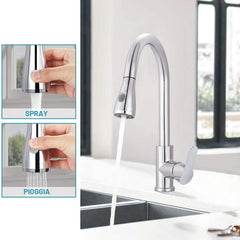 Mélangeur Robinet Chromé pour Évier GR-7544 avec Douche Amovible 75cm