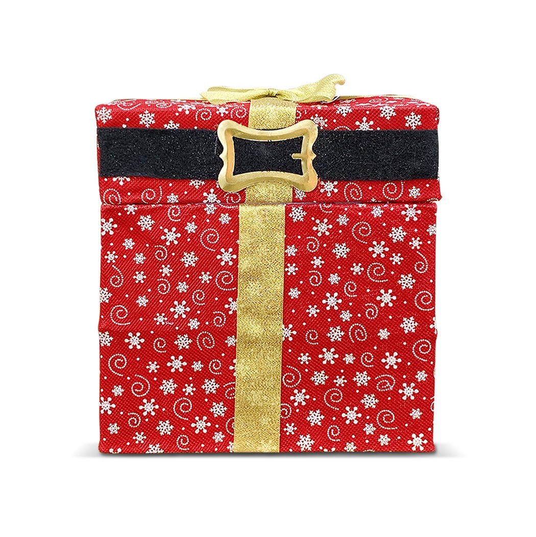 Boîte décorative Père Noël  avec 20 lumières et mouvement 28X20X30 cm