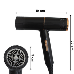 Sèche-cheveux professionnel à faible bruit de 2000 W sec en 3 à 5 minutes