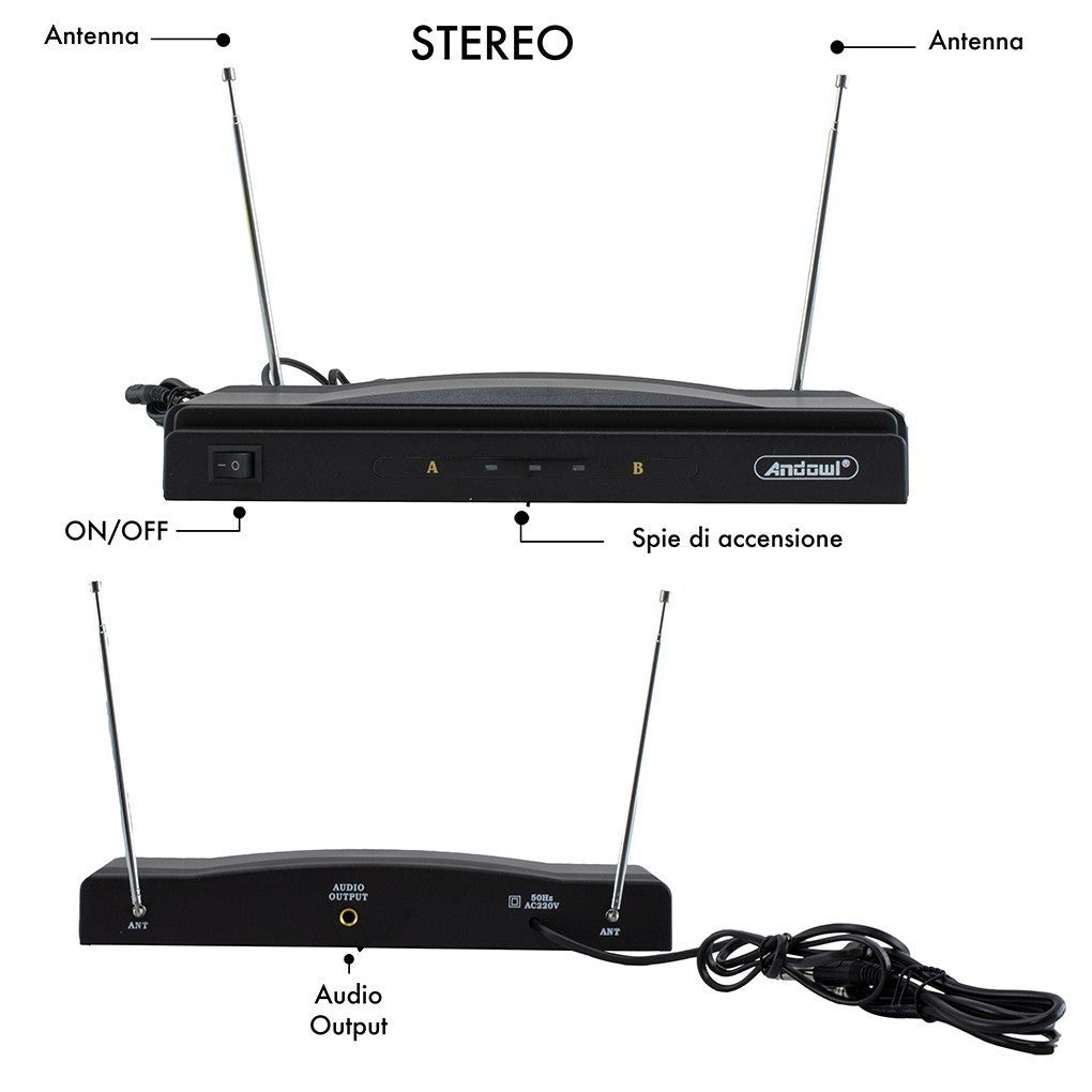 816155 Microphones sans fil pour récepteur karaoké 2 canaux