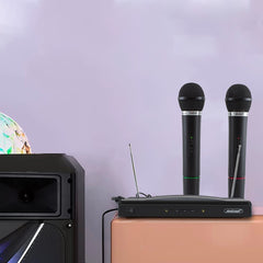 816155 Microphones sans fil pour récepteur karaoké 2 canaux