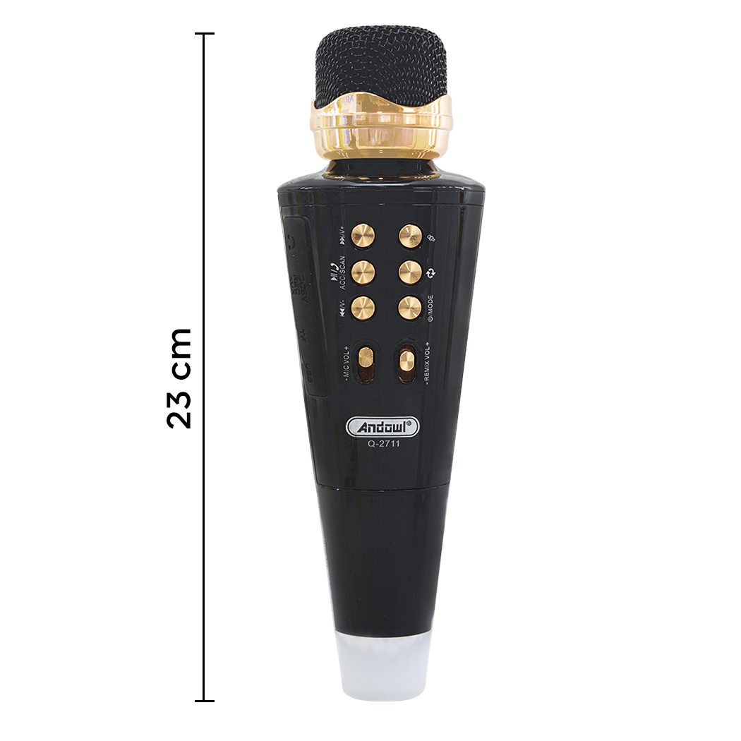 Q-2711 Microphone de karaoké sans fil Bluetooth et haut-parleur de musique USB