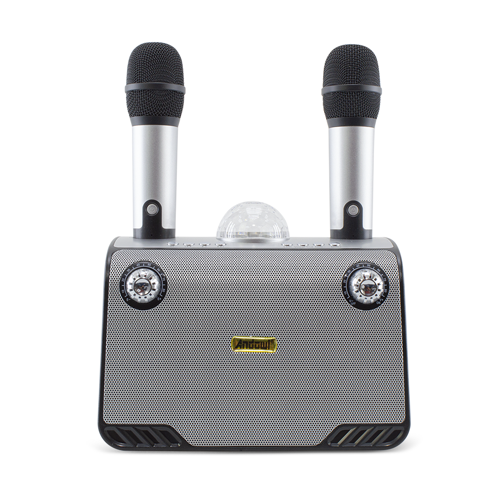 Haut-parleur Bluetooth sans fil karaoké 714386 portable avec 2 microphones
