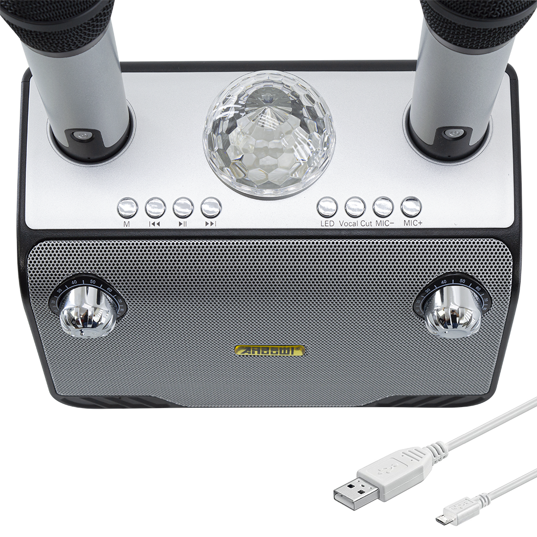 Haut-parleur Bluetooth sans fil karaoké 714386 portable avec 2 microphones
