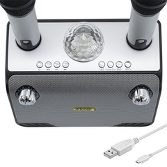 Haut-parleur Bluetooth sans fil karaoké 714386 portable avec 2 microphones