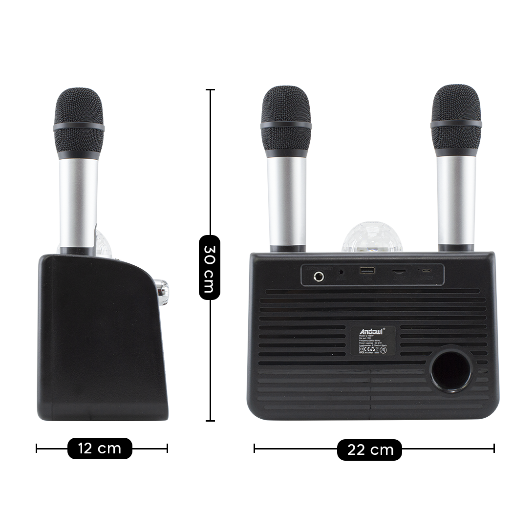 Haut-parleur Bluetooth sans fil karaoké 714386 portable avec 2 microphones