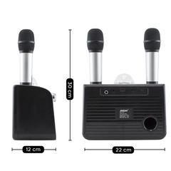 Haut-parleur Bluetooth sans fil karaoké 714386 portable avec 2 microphones