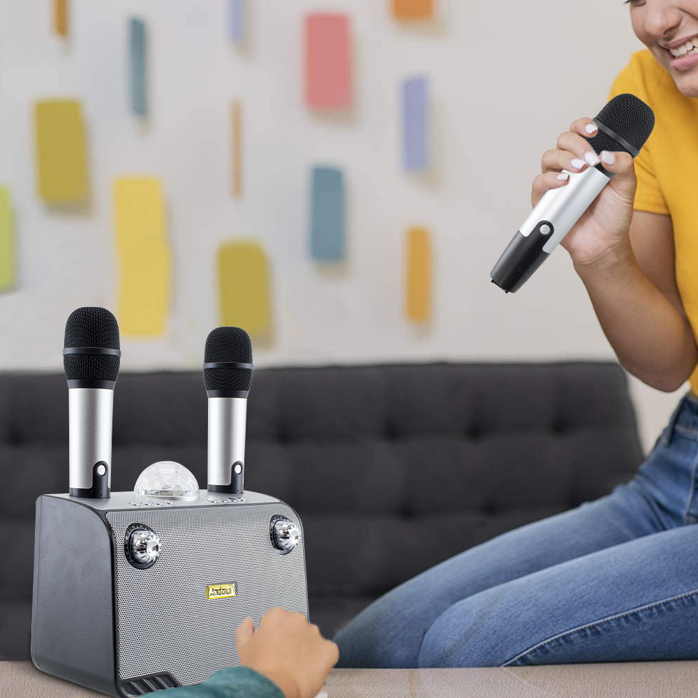 Haut-parleur Bluetooth sans fil karaoké 714386 portable avec 2 microphones