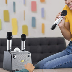 Haut-parleur Bluetooth sans fil karaoké 714386 portable avec 2 microphones