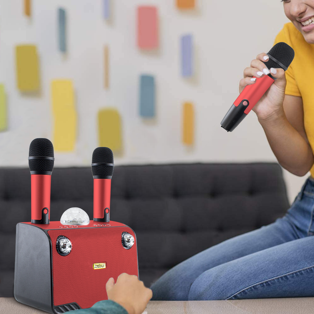 Haut-parleur Bluetooth sans fil karaoké 714386 portable avec 2 microphones