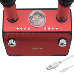 Haut-parleur Bluetooth sans fil karaoké 714386 portable avec 2 microphones