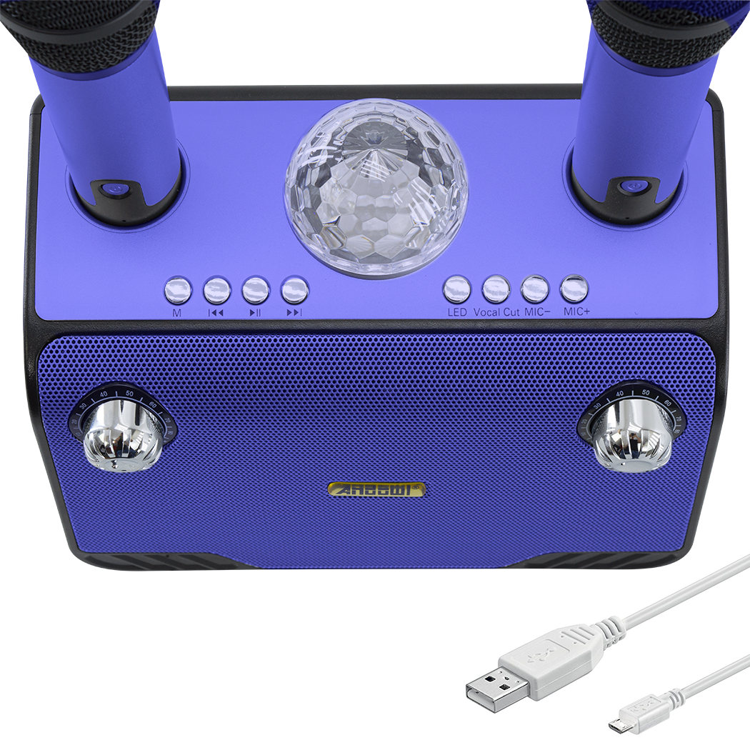 Haut-parleur Bluetooth sans fil karaoké 714386 portable avec 2 microphones