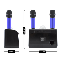 Haut-parleur Bluetooth sans fil karaoké 714386 portable avec 2 microphones