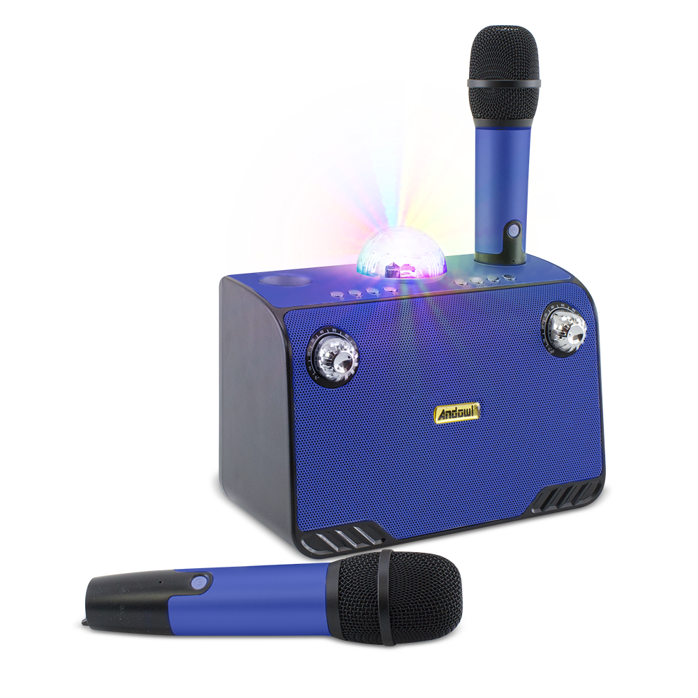 Haut-parleur Bluetooth sans fil karaoké 714386 portable avec 2 microphones