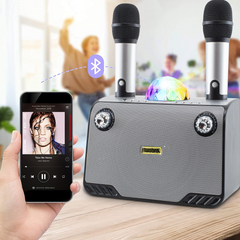 Haut-parleur Bluetooth sans fil karaoké 714386 portable avec 2 microphones
