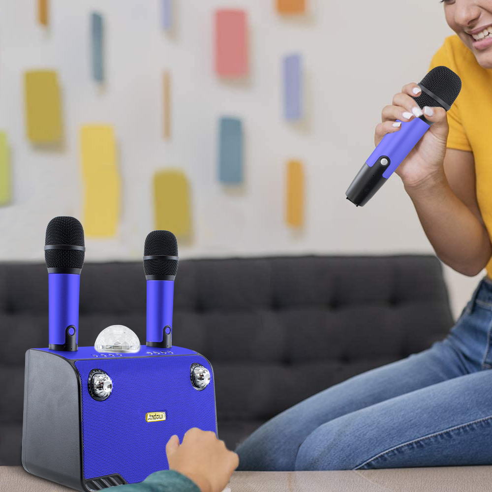 Haut-parleur Bluetooth sans fil karaoké 714386 portable avec 2 microphones