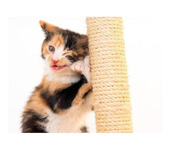 Sisal grattoir avec socle en bois pour les chats - jouet pour animal