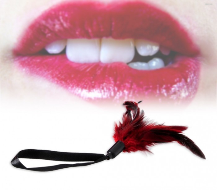 748908 - Ensemble de 4 accessoires jeu sadomasochiste menottes, masque en velour