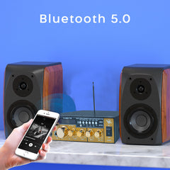 Karaoké Bluetooth Stéréo HiFi Amplificateur MP3 Ecran LCD Entrée USB et SD