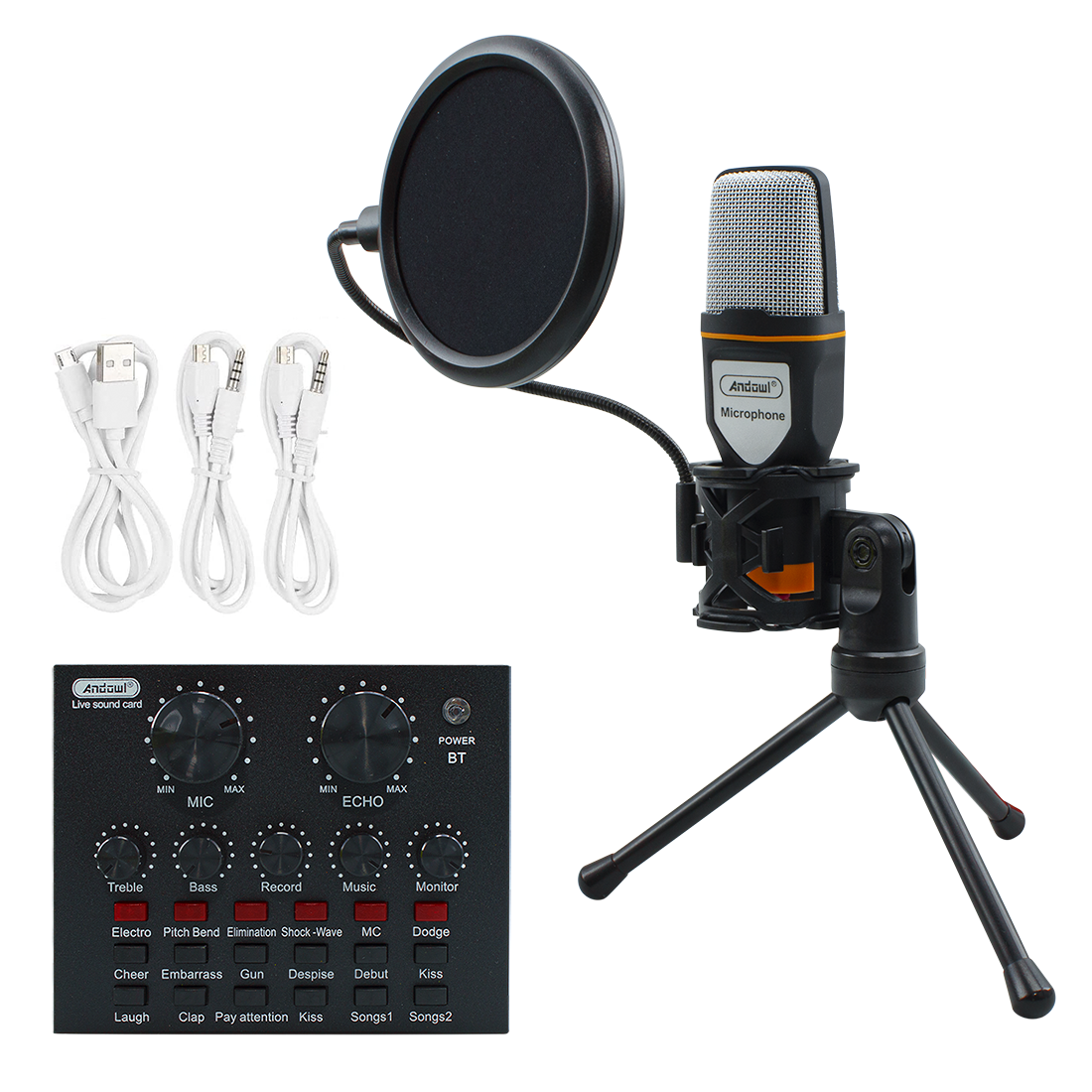 Kit microphone à condensateur pour PC avec filtre anti-pop de carte son trépied