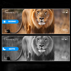Jumelles avec écran 3" vision nocturne zoom numérique 8x prise photos et vidéos