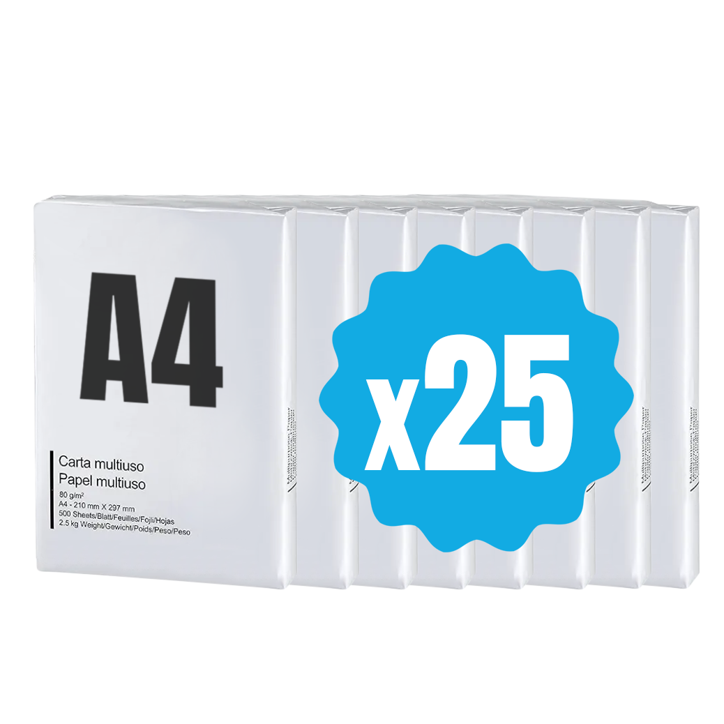 42757 Pack 25 paquets de papier format A4 500 feuilles 80 g Eins Universal Copy