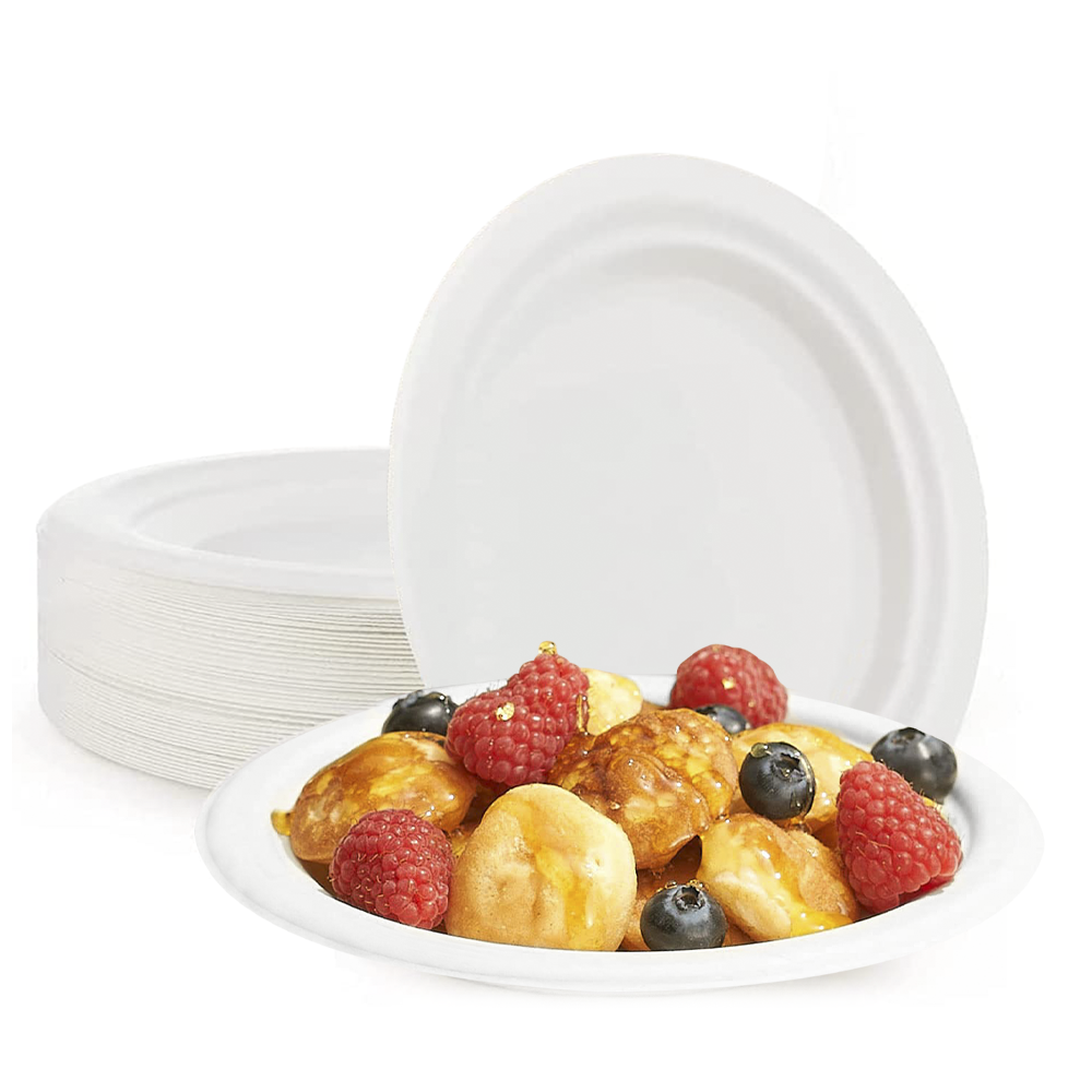 Lot de 60 Assiettes en Papier de 23 cm Jetables, Biodegradables et Écologiques