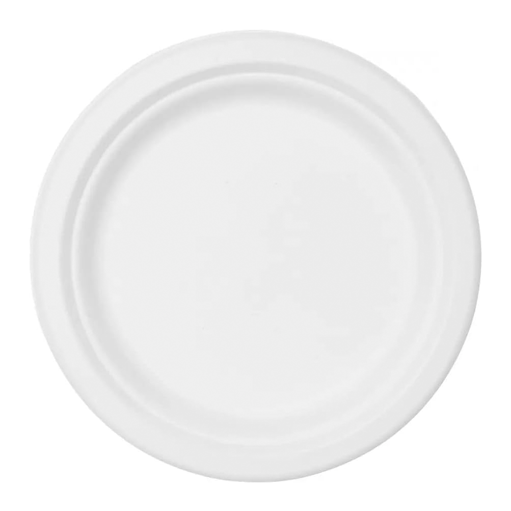 Lot de 100 Assiettes Plates Jetables en Papier Écologique et Biodégradables 23cm