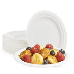 Lot de 400 Assiettes Plates Jetables en Papier Écologique et Biodégradables 23cm