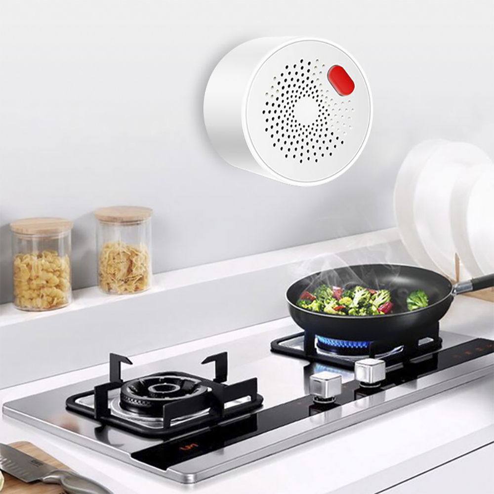 Détecteur gaz Wi-Fi Contrôle via app mobile Q-MQ25 Alarme sonore intelligente