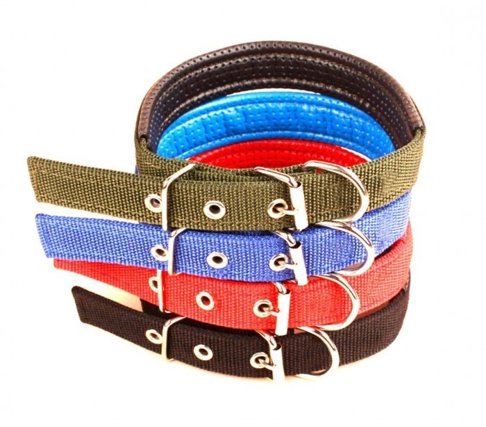 Collier pour chien en Nylon mod. Phoenix rembourré avec boucle -taille S