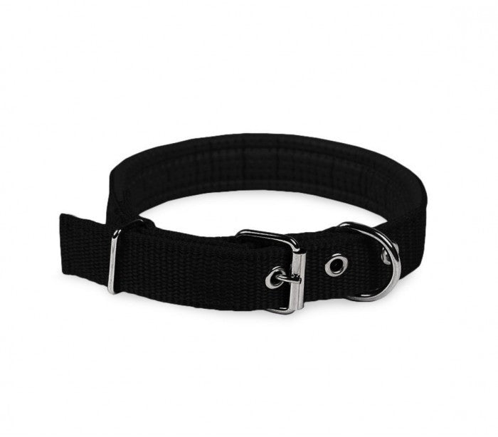 Collier pour chien en Nylon mod. Phoenix rembourré avec boucle -taille L