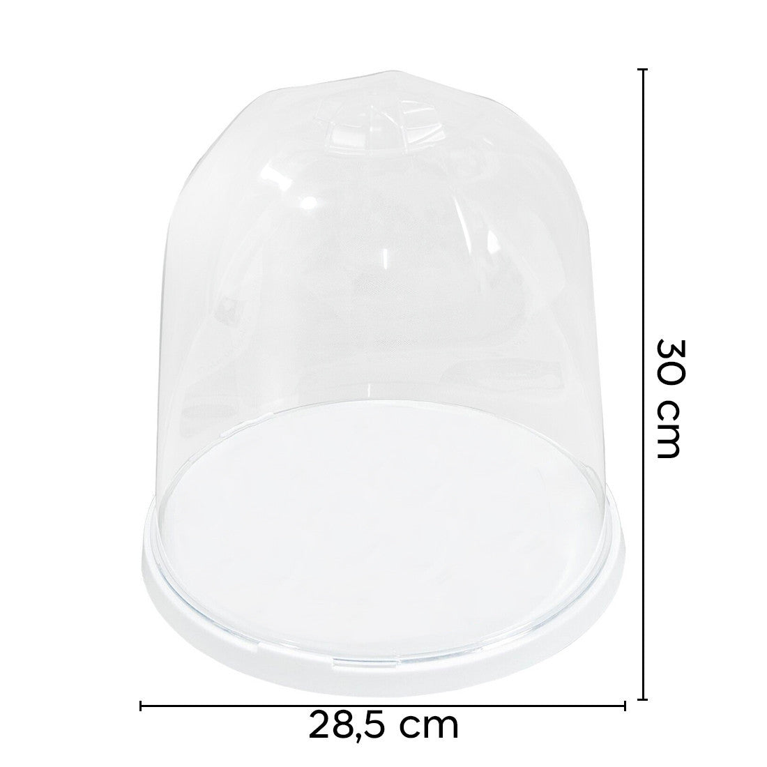 Porte-Panettone Forme de Cloche en Plastique avec Couvercle Transparent Plateau