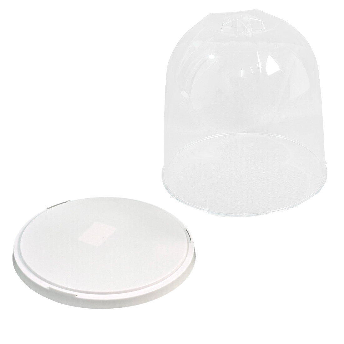 Porte-Panettone Forme de Cloche en Plastique avec Couvercle Transparent Plateau