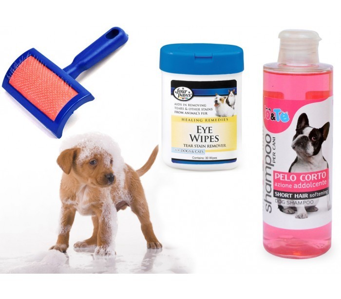 Kit de nettoyage complet pour chien – Shampooing + Lingettes + Brosse démêlante