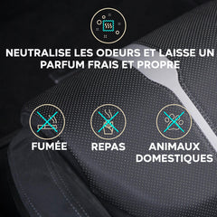 Détachant ALADIN pour Sièges Auto 400ml Idéal pour Tissus, Moquettes et Cuir