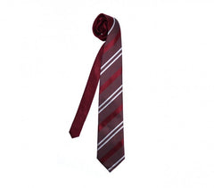 PW28 - Cravate classique rayures obliques - vêtement homme