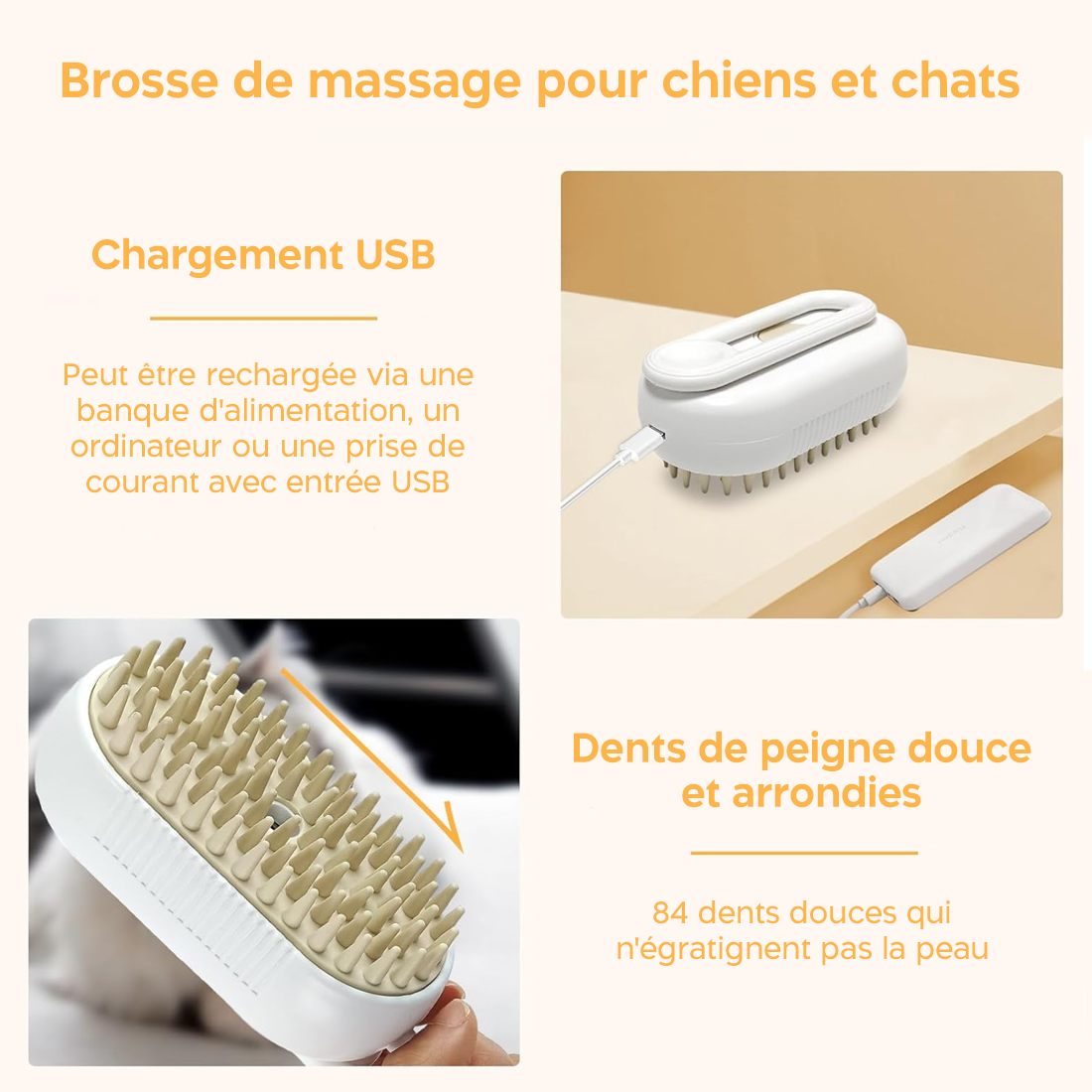 Brosse de Massage Électrique à Vapeur sans Fil Rechargeable pour Chiens et Chats